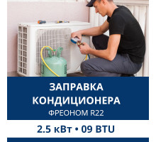 Заправка кондиционера Aux фреоном R22 до 2.5 кВт (09 BTU)